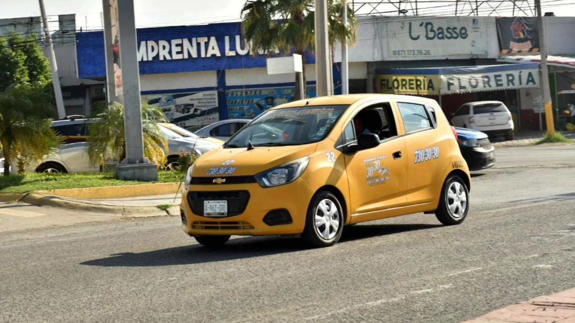 taxis-concesiones (2)